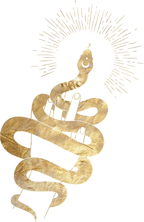 Hand with Gold Snake Illustration